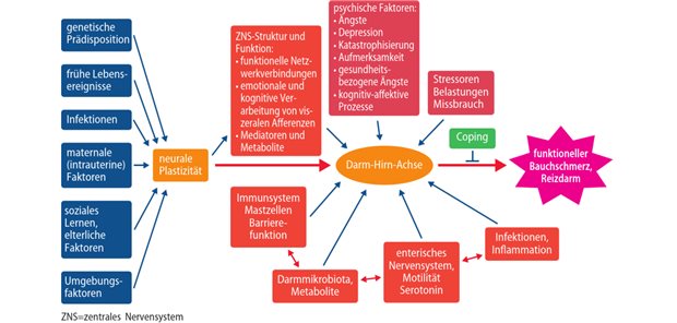 Abb. 1: Biopsychosoziales Modell der funktionellen Bauchschmerzen/Reizdarm bei Kindern