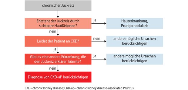 Abb. 1: Der CKD-assoziierte Pruritus ist eine Ausschlussdiagnose