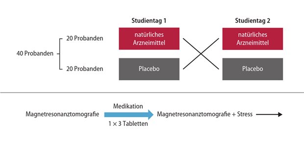 Abb. 1: Design der NEURIM-Studie