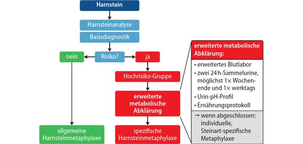 Abb. 1: Diagnostik bei Harnsteinen: Prozedere bei Hochrisiko-Gruppe