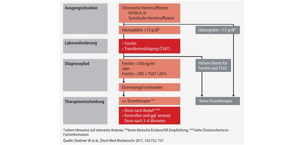 Abb. 1: Diagnostischer Algorithmus zum Eisenmangel bei Patienten mit Herzinsuffizienz.