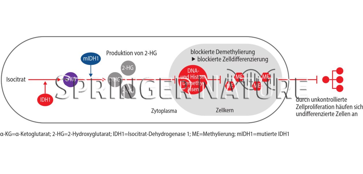 Ivosidenib als erste zielgerichtete Therapieoption zugelassen