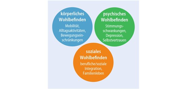 Abb. 1: Die drei Dimensionen der Lebensqualität 
