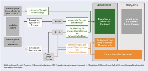Therapie des fortgeschrittenen/rezidivierenden Endometriumkarzinoms Abb. 1: Einfluss der Biomarker auf die Entscheidung zur Immuntherapie beim fortgeschrittenen/rezidivierenden EC
