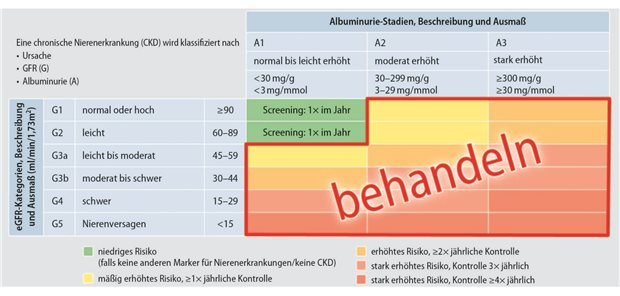 Abb. 1: Empfohlene Messfrequenz von geschätzter glomerulärer Filtrationsrate (eGFR) und Urin-Albumin-Kreatinin-Verhältnis (UACR) sowie Therapieindikation