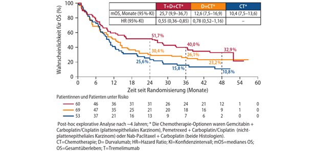 Abb. 1: Gesamtüberleben bei Patientinnen und Patienten mit nicht-plattenepithelialem metastasiertem NSCLC und KRAS-Mutationen