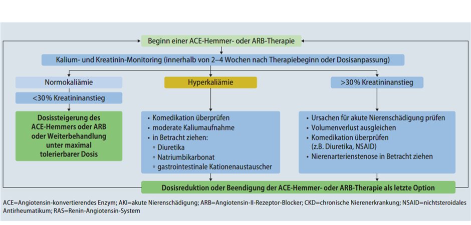Moderne Kaliumbinder für eine leitlinienkonformere Therapie