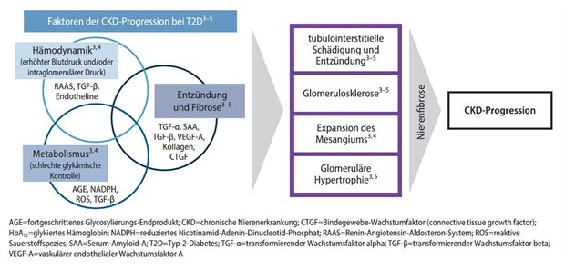 Abb. 1: Metabolische, hämodynamische, inflammatorische und fibrotische Faktoren fördern die CKD-Progression bei Patienten mit Typ-2-Diabetes 