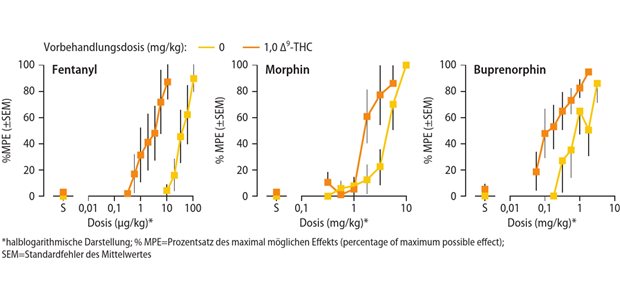 Abb. 1 Präklinische Daten zeigen eine verstärkte Wirkung von Opioiden, insbesondere von Fentanyl, bei Kombination mit Delta-9-Tetrahydrocannabinol (THC) im Tierversuch (modifiziert nach [4])