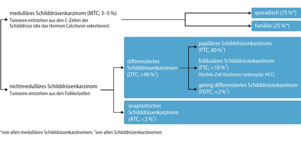 Abb. 1: Schilddrüsenkarzinome werden nach ihrem Ursprung klassi?ziert