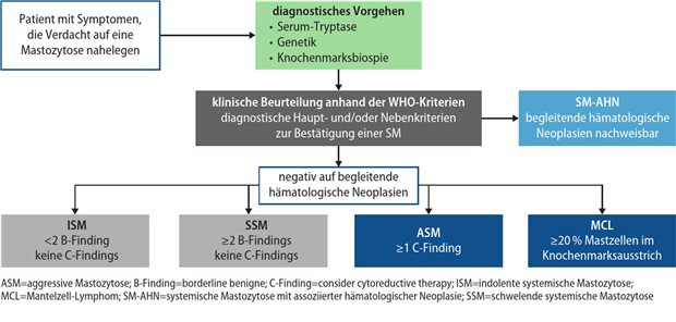 Abb. 1 Systemische Mastozytose (SM): Diagnose-Algorhythmus