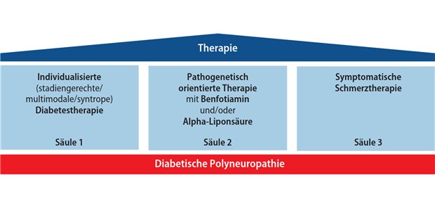 Abb. 1: Therapie der diabetischen Neuropathie nach Drei-Säulen-Modell (gemäß Reiners, Stracke, Sachse; modifiziert nach [6]) 