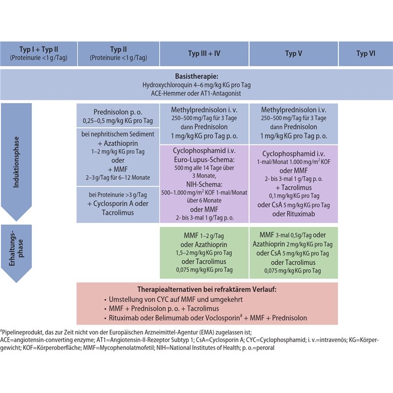 Sle 400 Lupus Therapie Deutschland : Systemischer Lupus erythematodes ...
