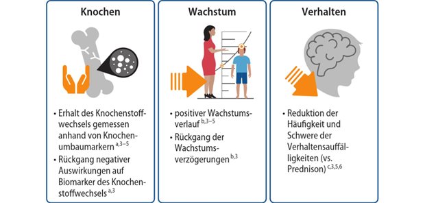 Abb. 1: Vorteile von Vamorolon 