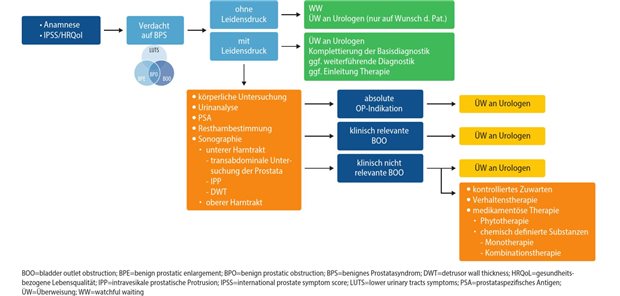Abb. 2: Algorithmus für den Hausarzt: Diagnostik und Therapie des benignen Prostatasyndroms