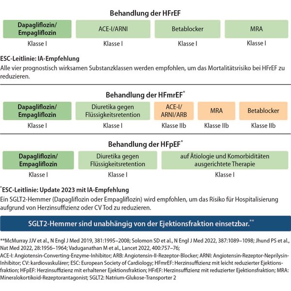 Therapie Chronischer Herzschwäche Bzw. Herzinsuffizienz – ORVBHC
