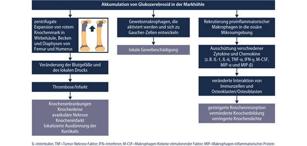 Skelettbeteiligung bei Morbus Gaucher