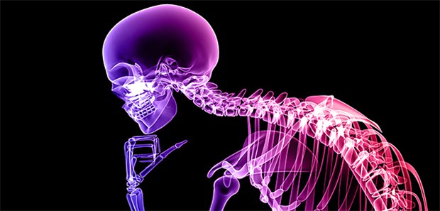 Stress stört die Knochenheilung Abstrakte Darstellung eines Skeletts: Knochbrüche heilen einer Tierstudie nach schlechter, wenn der Organismus unter Dauerstress steht.