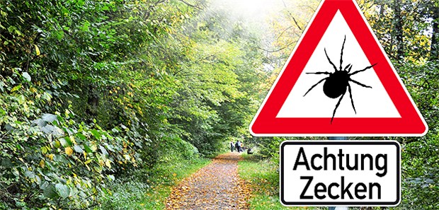 Achtung Zecken! Die FSME breitet sich aus.
