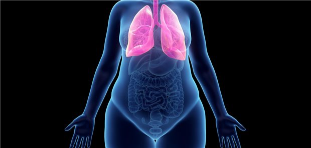 Schematische Darstellung der Leber bei einer adipösen Person