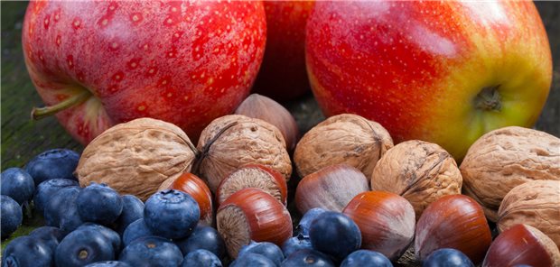 Äpfel und Heidelbeeren sind reich an Quercetin. Eine hohe Aufnahme dieses Flavonols war in der Studie mit einem verminderten Risiko für „frailty“ assoziiert.
