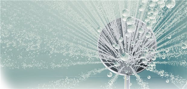 Aerosole, die beim Duschen entstehen, können es in sich haben.
