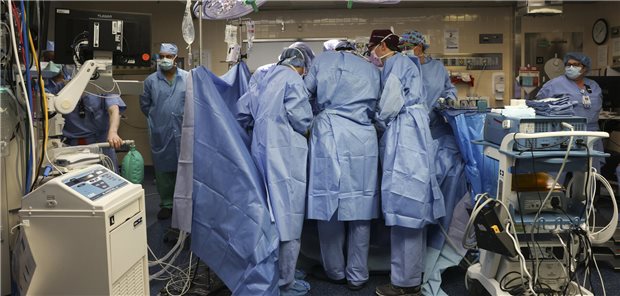 Ärzte arbeiten in einem OP des Massachusetts General Hospital an der Transplantation einer Schweineniere.