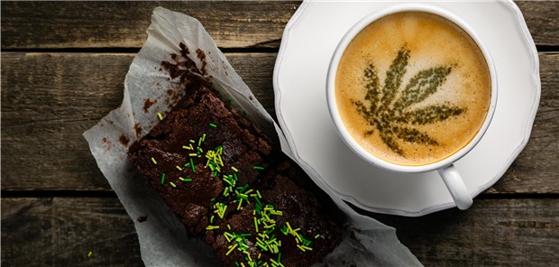 „Haschbrownies“ bringen 6 Darmstädter in Klinik Ärzte mussten Partygästen in Darmstadt helfen, die Brownies mit dem Cannabis-Wirkstoff THC verzehrt haben.