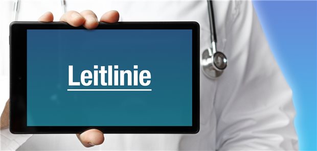 Ärzte präferieren Leitlinien immer stärker im digitalen Format. Nun fordern die medizinisch-wissenschaftlichen Fachgesellschaften auch Leitlinien speziell für E-Health-Systemlösungen ein.