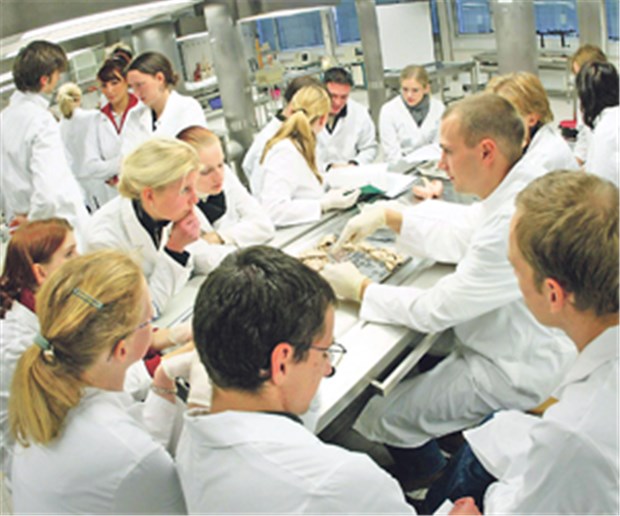 Mediziner-Nachwuchs will mehr Zeit für Familie Ärzteausbildung in der Klinik. Wie viele werden tatsächlich Patienten versorgen?