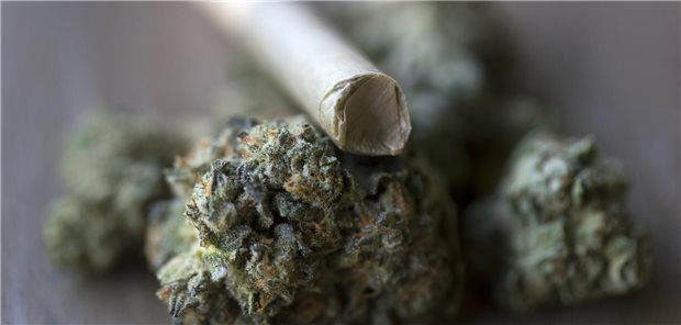 Ein Joint liegt auf einem Stückchen Cannabis.