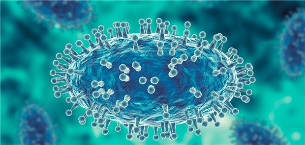 Affenpocken-Virus: Nach derzeitigem Wissensstand ist für eine Übertragung des Erregers ein enger Kontakt erforderlich.