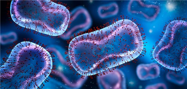 WHO warnt: Affenpocken sind weiterhin gefährlich Affenpocken-Virus: Wo das Virus unkontrolliert zirkuliert, kann es mutieren und deutlich ansteckendere Varianten hervorbringen.