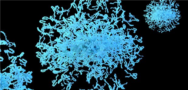 Aggregate des Proteins a-Synuclein lagern sich bei Erkrankungen wie Parkinson im zentralen Nervensystem ab. Doch in manchen Fällen kommen sie auch im Darm vor.