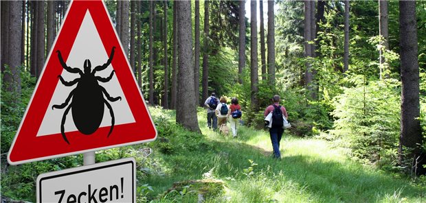 Fünf neue FSME-Risikogebiete in Deutschland Aktuell sind in Deutschland 169 Kreise als FSME-Risikogebiete definiert.