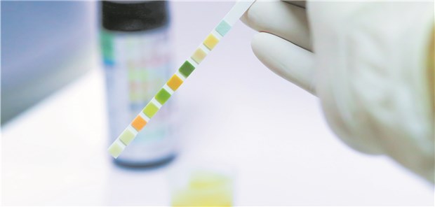 Akuter HWI? Bei schlechter Nierenfunktion ist das Risiko für eine Klinikeinweisung erhöht.