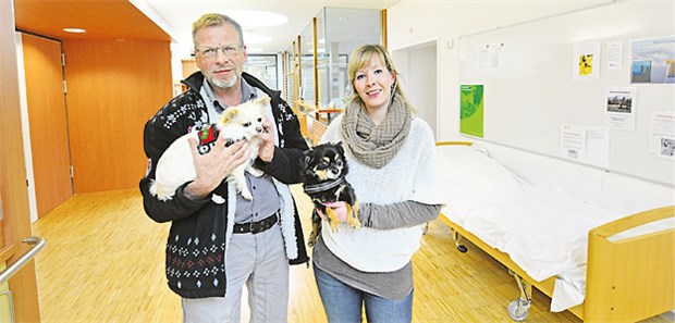 Eine tierisch gute Therapie Alfred Mollenhauer und Stefanie Köhler bringen ihr Chihuahuas mit in die Psychiatrie. Vor allem Schwerkranke profitieren davon.