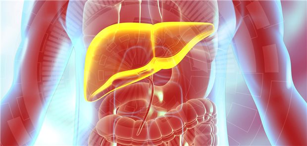 Alkoholbedingte Lebererkrankung: Als bester Prädiktor für eine Foamy-Degeneration erwies sich in einer Studie der Triglyzeridwert: Ein Wert jenseits von 225 mg/dl ergab eine Sensitivität von 77 Prozent bei einer Spezifität von 90 Prozent für die Präsenz einer Foamy-Degeneration.