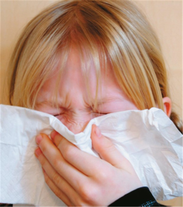 Eltern bekommen Hilfe bei der Allergie-Prävention Allergien nehmen zu: In jeder Schulklasse sitzen mittlerweile zwei Kinder mit Asthma, und jeder vierte Teenager hat Heuschnupfen.