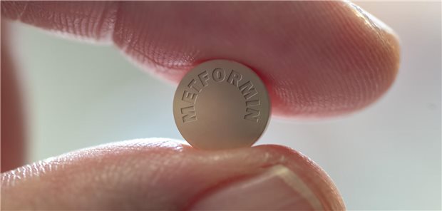 Eine Person hält zwischen seinem Daumen und Zeigefinger eine Metformin-Tablette zur Behandlung von Diabetes.