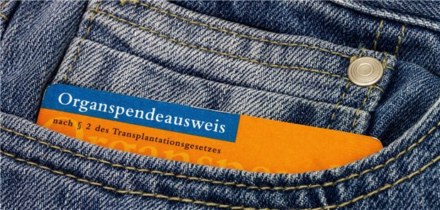 Organspendeausweis in Hosentasche