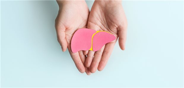 Ärztekammer Berlin wirbt für Widerspruchslösung bei Organspende Am 3. Juni ist „Tag der Organspende“.
