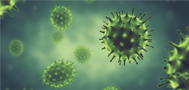 Am Uniklinikum Düsseldorf entwickelte Substanzen wirkten in einer Studie gegen verschiedene respiratorische Viren.