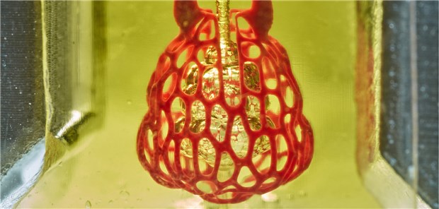 3D-Drucker können jetzt Blutgefäße und Luftwege Amerikanische Biotechnologen haben mit einem neuen 3D-Druck-Verfahren weiche Blutgefäße und Luftwege wie in einer Lunge hergestellt. Sie konnten zeigen, dass die in sogenanntem Hydrogel gefertigten Strukturen in der Lage sind, Blut mit Sauerstoff anzureichern