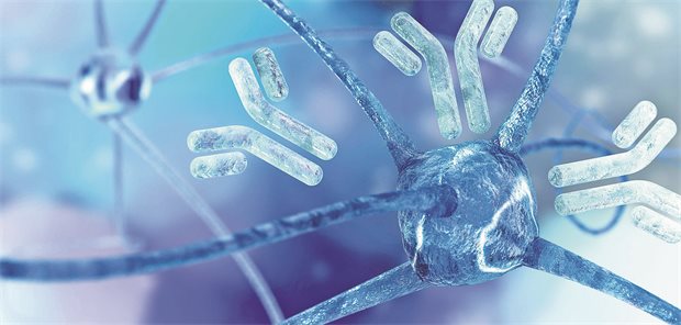 Amyloid-Antikörper stabilisieren Alzheimerdemenz wohl über ein Jahr hinweg Antikörper binden an eine Nervenzelle