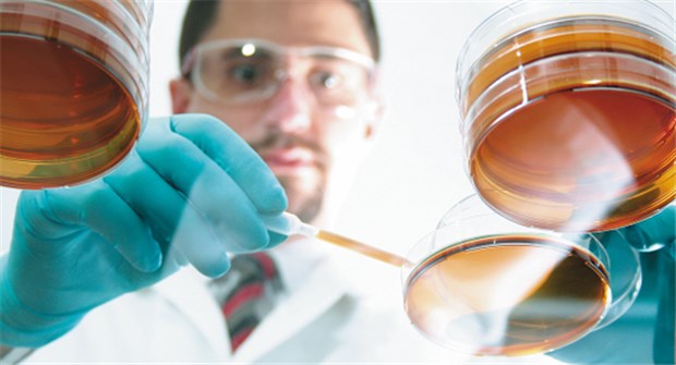 Stehen Biopharmazeutika am Scheitelpunkt? An Biopharmazeutika wird intensiv geforscht. Die Rahmenbedingungen verschärfen sich aber.