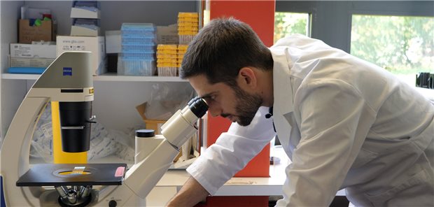 An seinem Arbeitsplatz: der Wissenschaftler Carlo Cervia-Hasler, Erstautor der Studie und Postdoktorand im Team um Professor Onur Boymans.