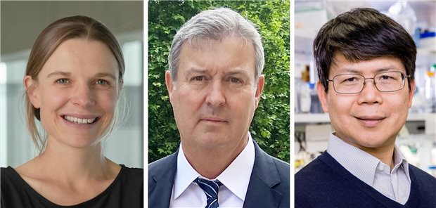 Paul-Ehrlich-Preis für Forschung zum Immunsystem Andrea Ablasser vom Titouan Veuillet, Glen Barber von der Ohio State University und James Zhijian Chen vom UT Southwestern Medical Center (v.l.) sind die Preisträger des Paul Ehrlich- und Ludwig Darmstaedter-Preis 2025.