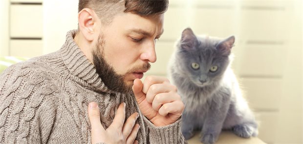 Junger Mann mit Asthma-Exazerbation. Im Hintergrund ist eine Katze zu sehen.