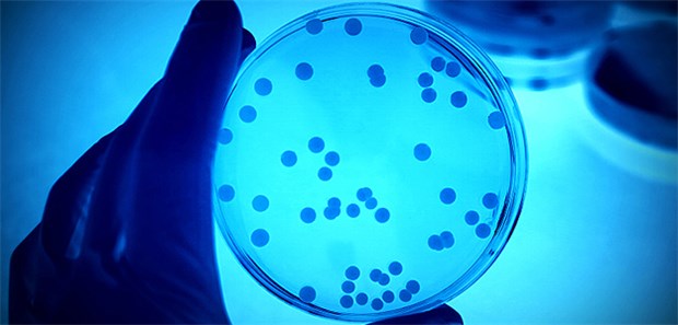 Fast neun Millionen nosokomiale Infektionen jährlich Antibiotika-resistente Keime werden zunehmend zum Problem in Kliniken und Pflegeheimen.